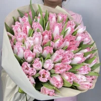 51 шикарный тюльпан