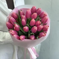 31 ярко розовый тюльпан